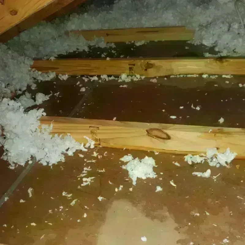 Attic Water Damage in Porterdale, GA